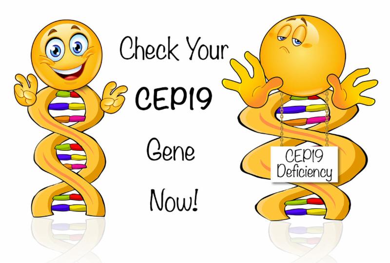 CEP19 Gene, Genetic Testing, DNA Testing, Next Generation Sequencing, NGS, Genetic Disease, Inherited Disease,Cancer Testing, Obesity Testing